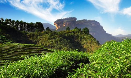第三句写大红袍仍武夷山茶的金品